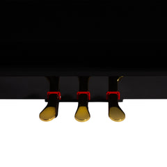 CROWN CDP-901-BLK UPRIGHT DIGITAL PIANO (Gloss Black)