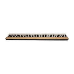 Crown Portable Magnetic Split Digital Piano