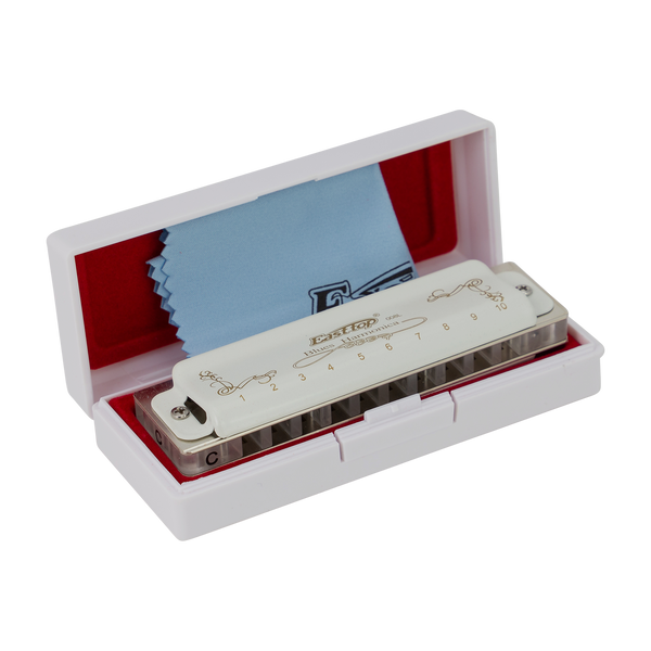 East Top 10 Hole Professional Blues Harmonica A