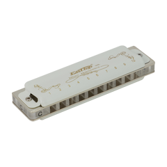 East Top 10 Hole Professional Blues Harmonica A