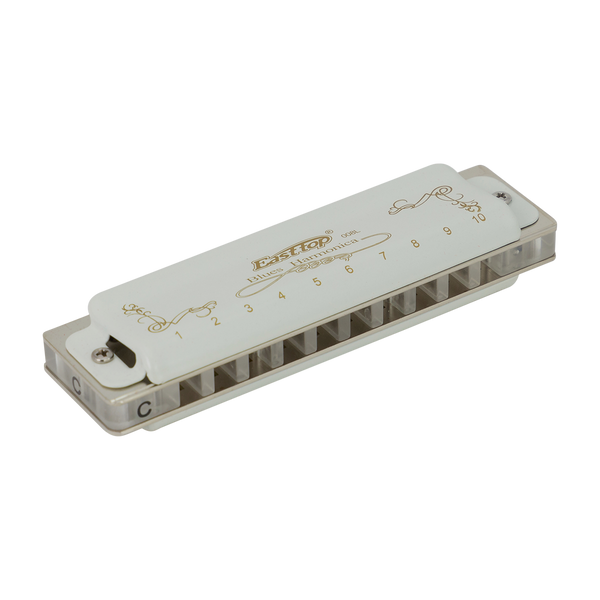 East Top 10 Hole Professional Blues Harmonica A