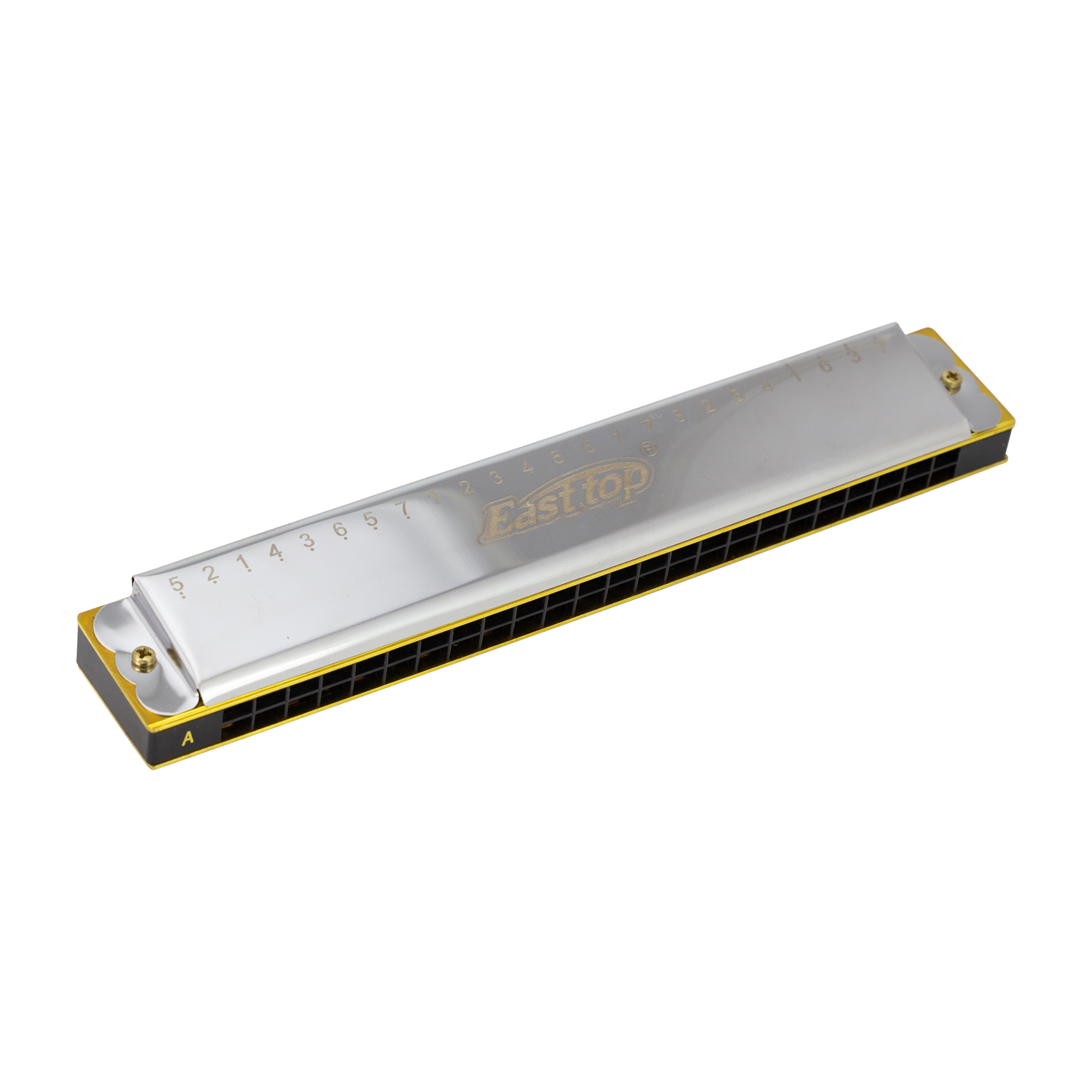 East Top 24 Hole Accent Tremolo Harmonica C