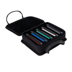 East Top Set of 5 Blues Harmonica's with Case