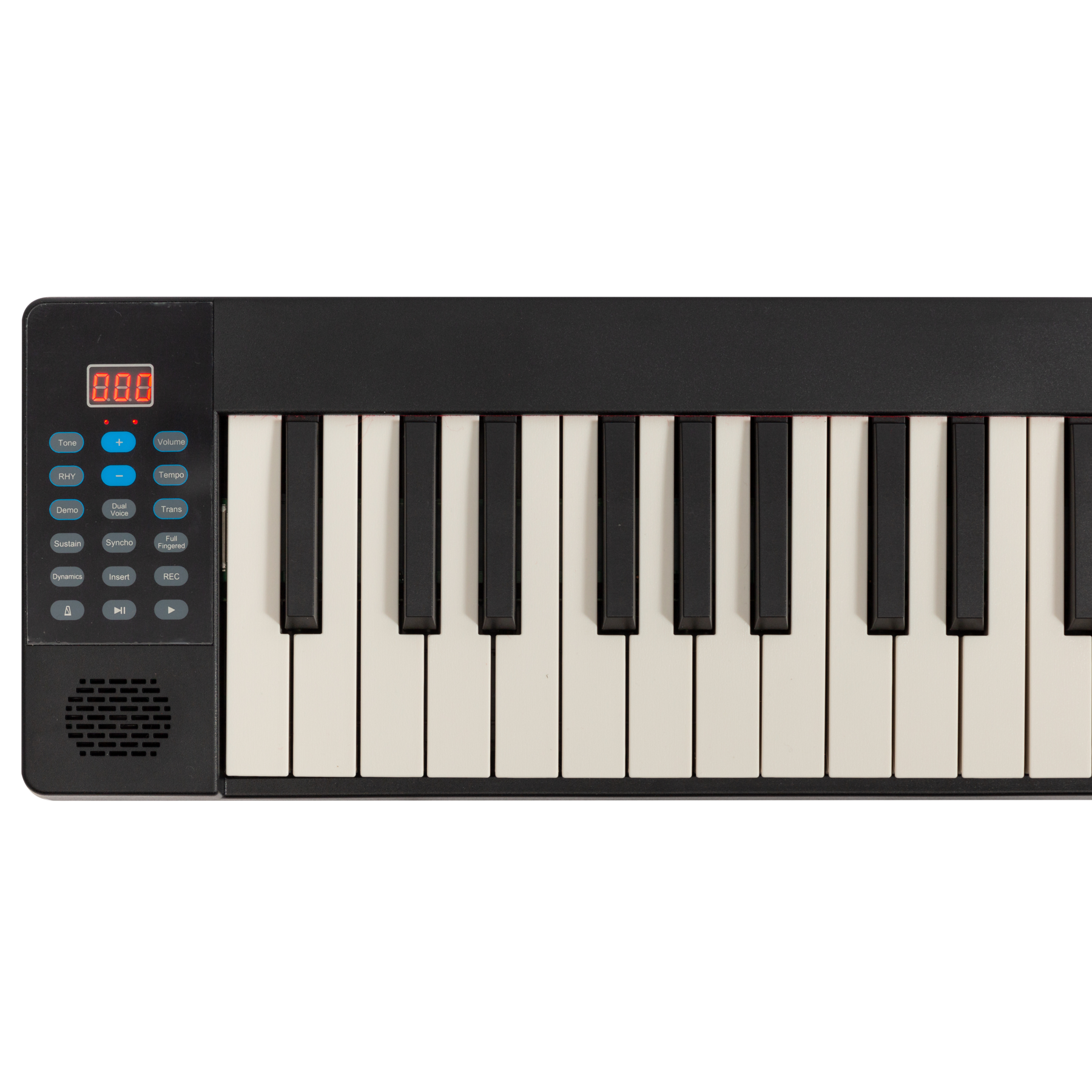 LORDEN LPJ-61C 61 KEY FOLD UP KEYBOARD