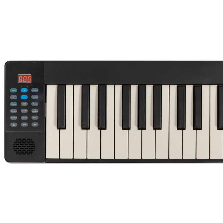 LORDEN LPJ-61C 61 KEY FOLD UP KEYBOARD