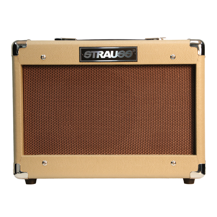STRAUSS 15W ACOU AMPLIFIER W/CHORUS & MIC