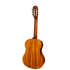 Sanchez Full Size Student Classical Acoustic Guitar Spruce Koa (Gloss)