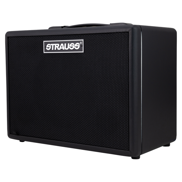 Strauss GN15 15 Watt Vintage Guitar Combo Amplifier (Black)