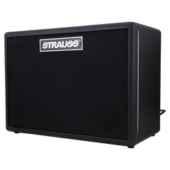 Strauss GN30 30 Watt Vintage Guitar Combo Amplifier (Black)