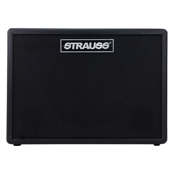 Strauss GN30 30 Watt Vintage Guitar Combo Amplifier (Black)