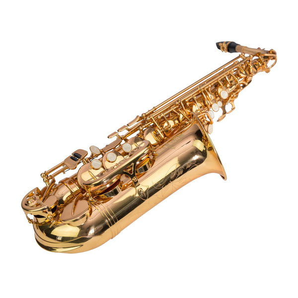 Steinhoff Advanced Student Alto Saxophone (Gold)