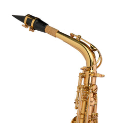 Steinhoff Advanced Student Alto Saxophone (Gold)