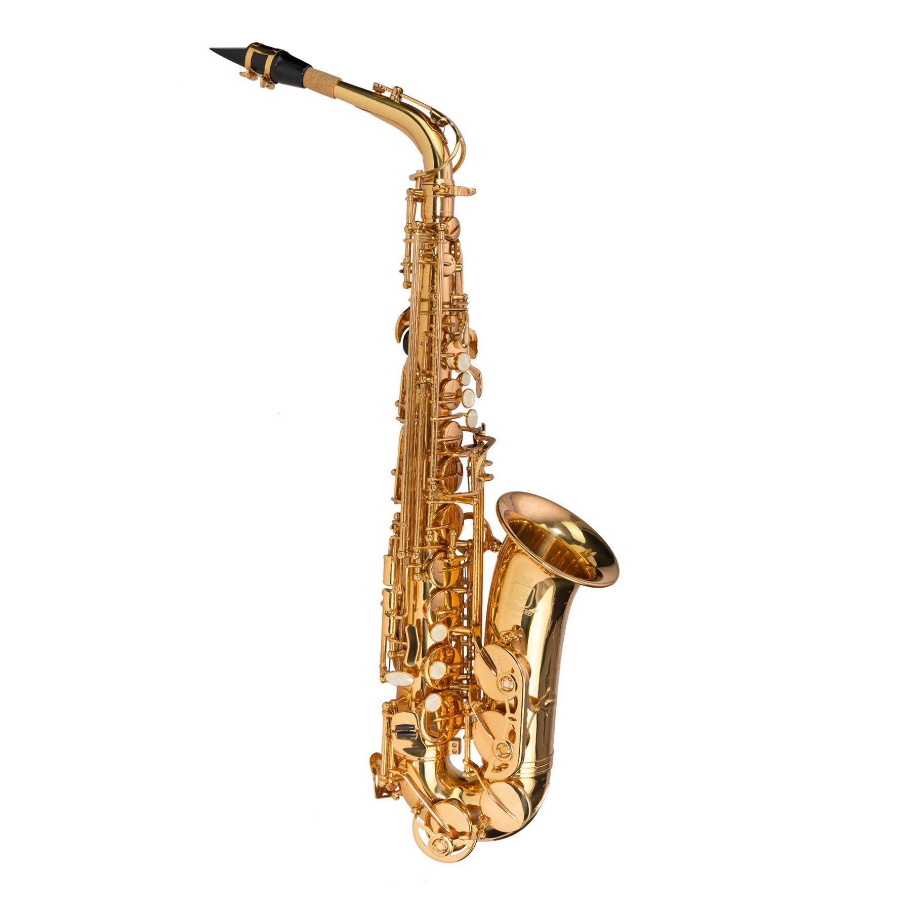 Steinhoff Advanced Student Alto Saxophone (Gold)-KSO-AS10-GLD