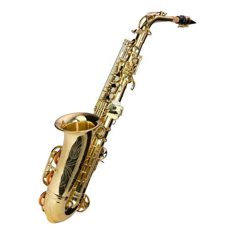 Steinhoff Intermediate Alto Saxophone (Gold)-KSO-AS20-GLD