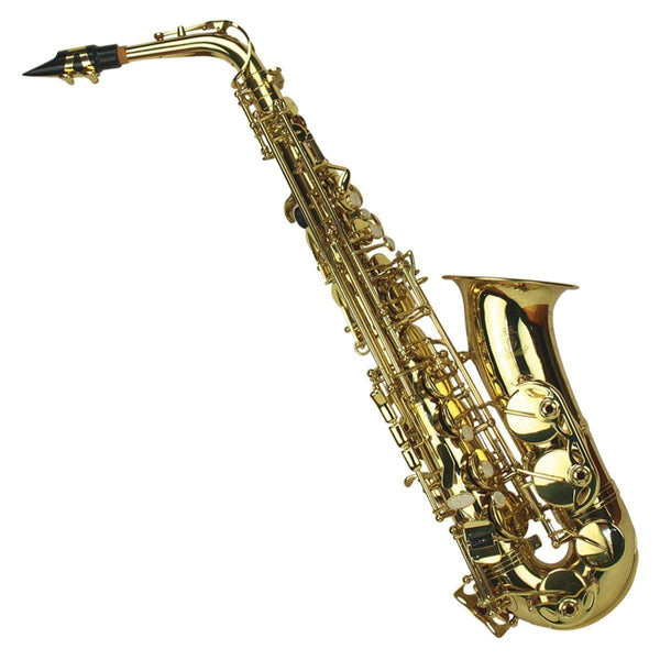 Steinhoff Student Alto Saxophone (Gold)